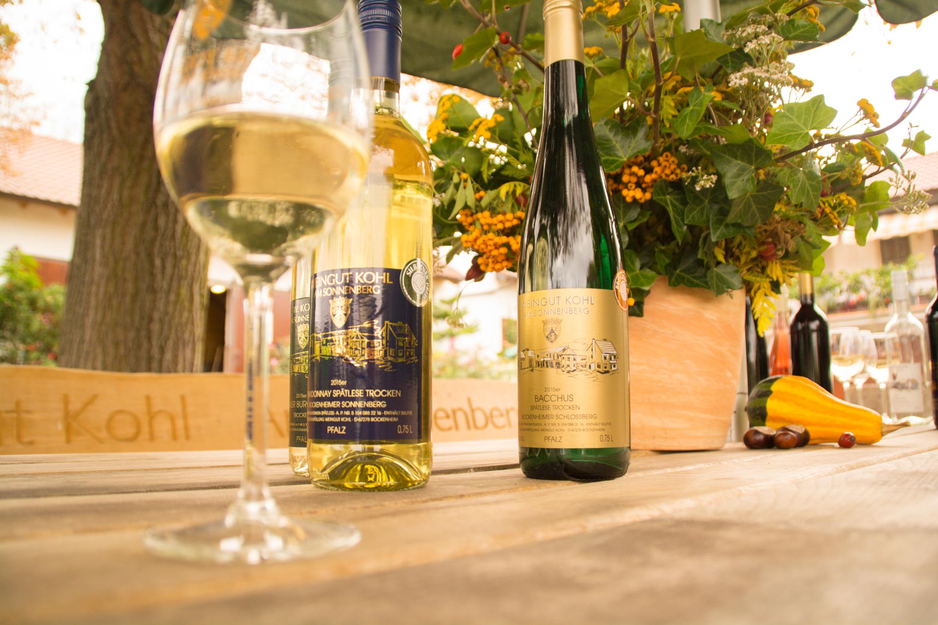 Weingut Kohl — photo 3