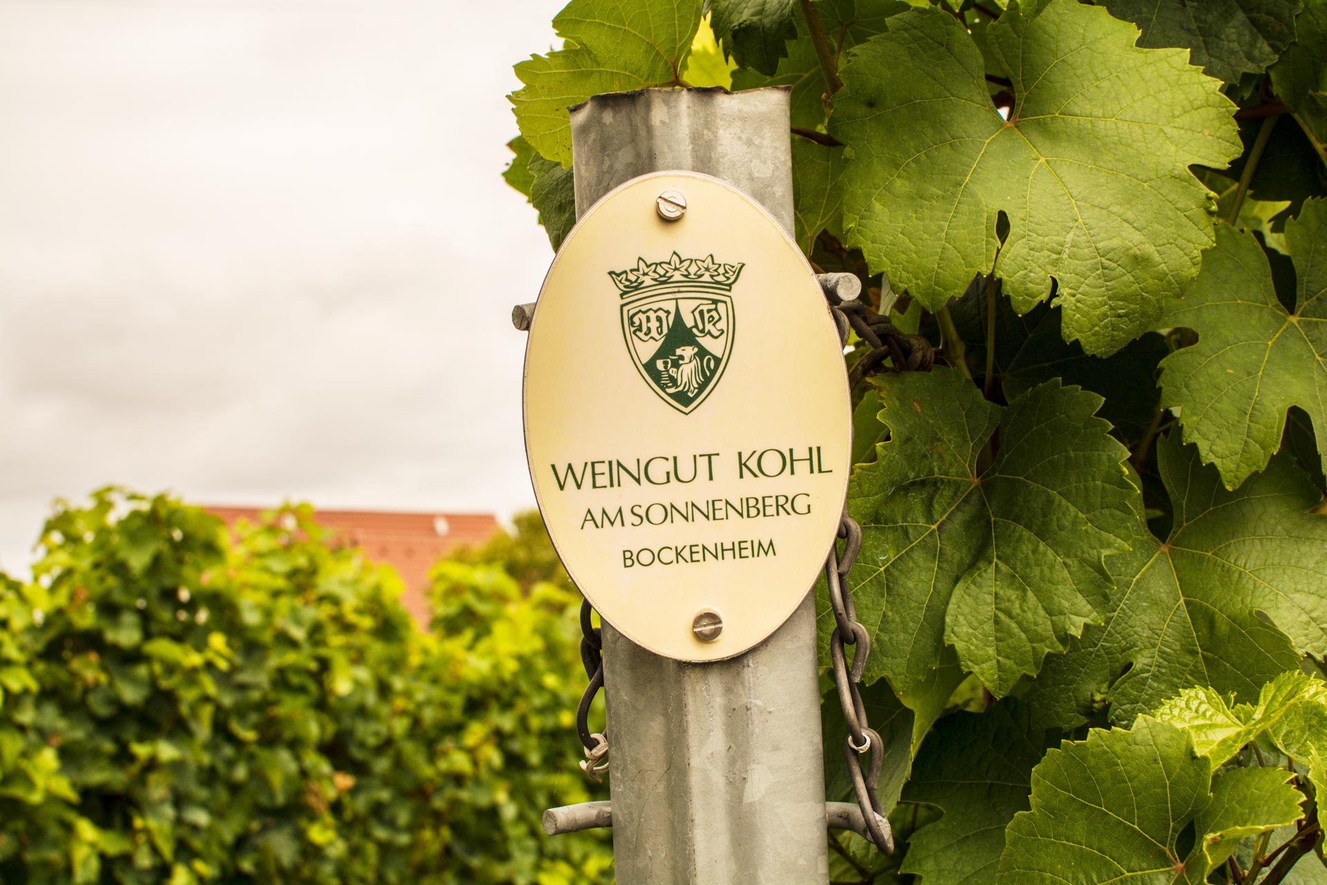 Weingut Kohl — photo 2